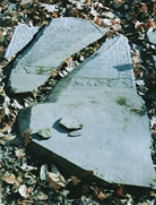 rui-ro2